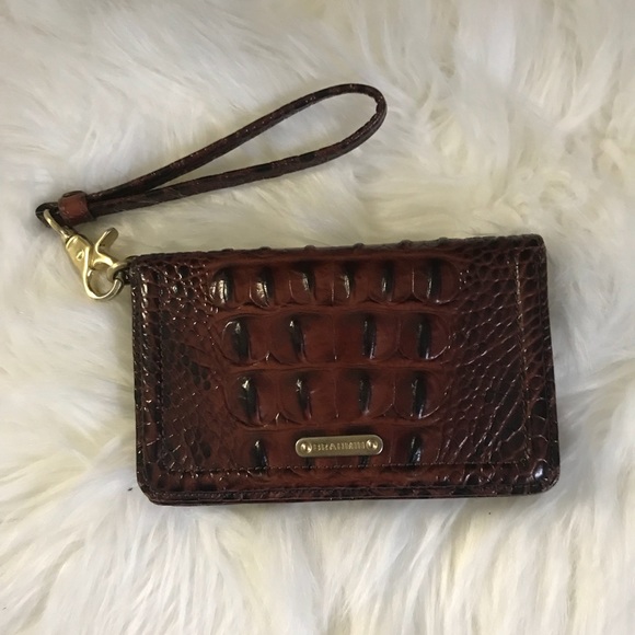 brahmin debi wallet